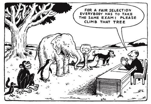 education system animal
