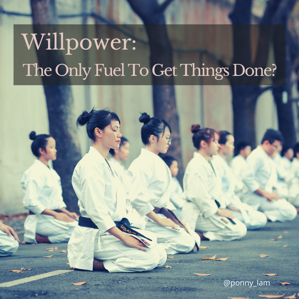 Willpower in Human Design: Undefined Will and Productivity