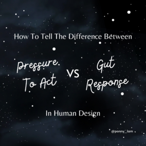 follow your gut human design